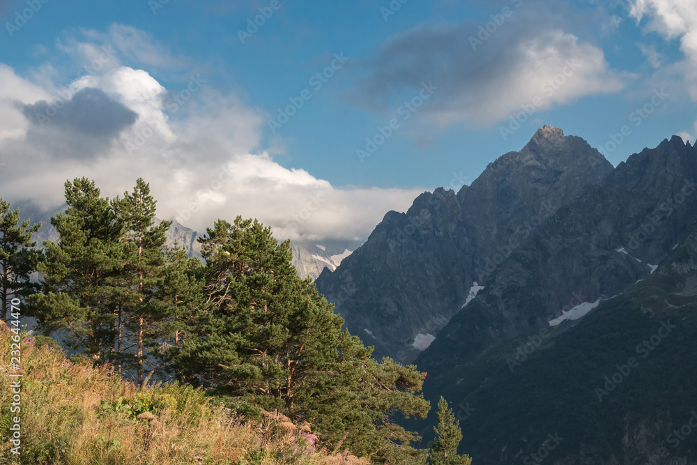 Closeup mountains and forest scenes in national park Caucasus, Russia Closeup mountains and forest scenes in national park Caucasus, Russia