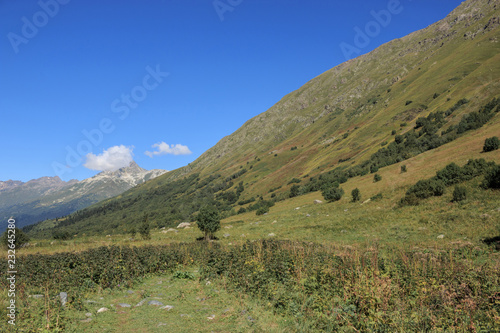 Closeup view mountains scenes in national park Dombai, Caucasus, Russia, Europe