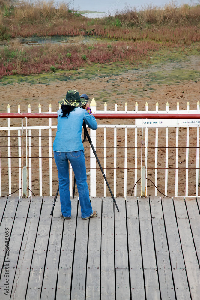 A female photographer was photographing in a wetland park, china A female photographer was photographing in a wetland park, china