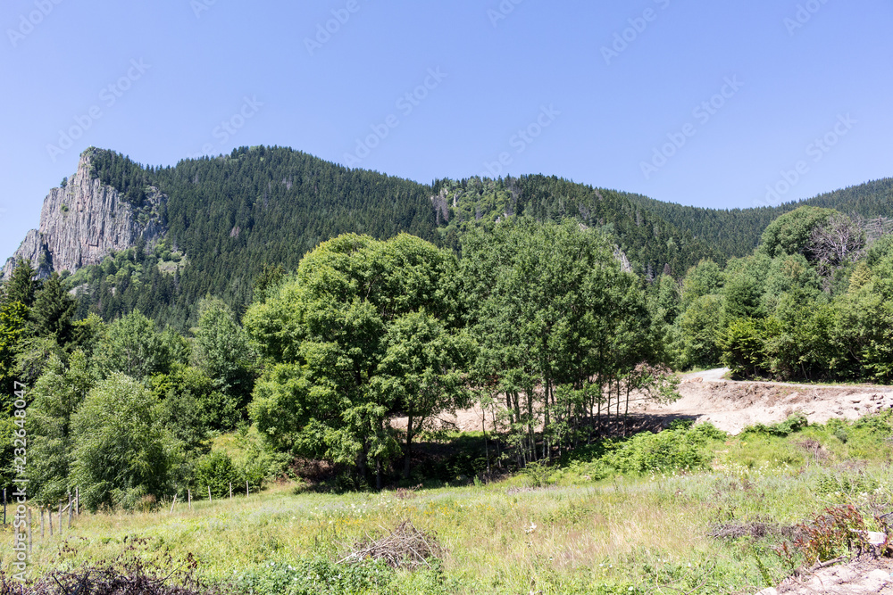 Naklejka premium Landscape in Rhodopes