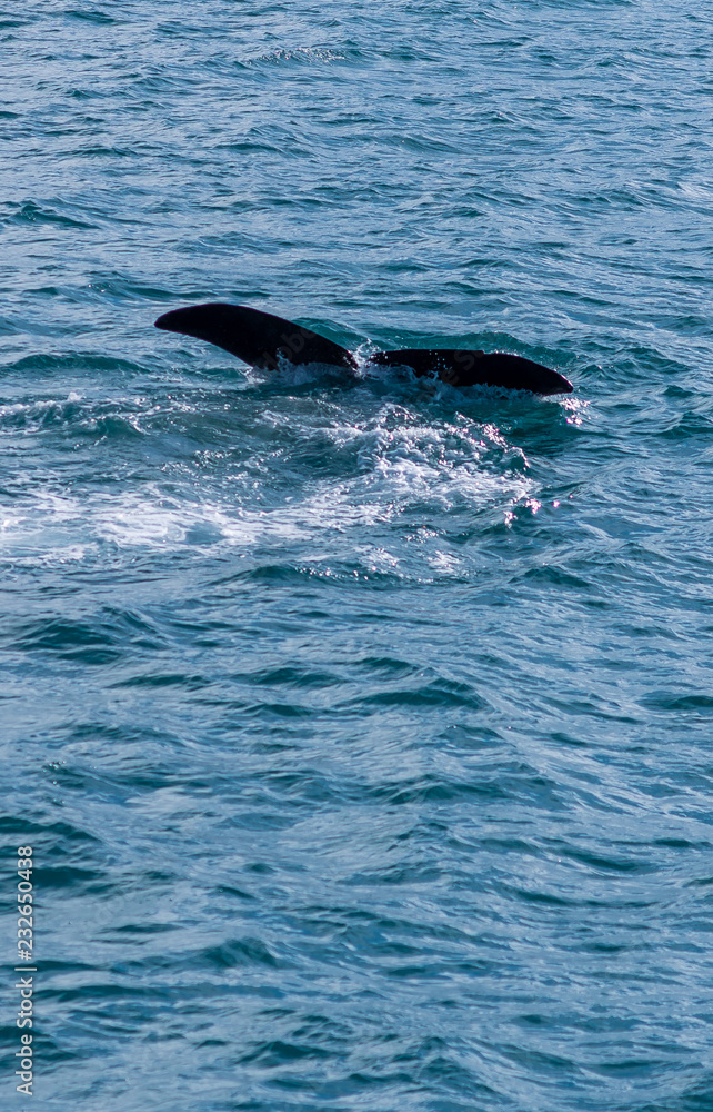 Naklejka premium Norwegen