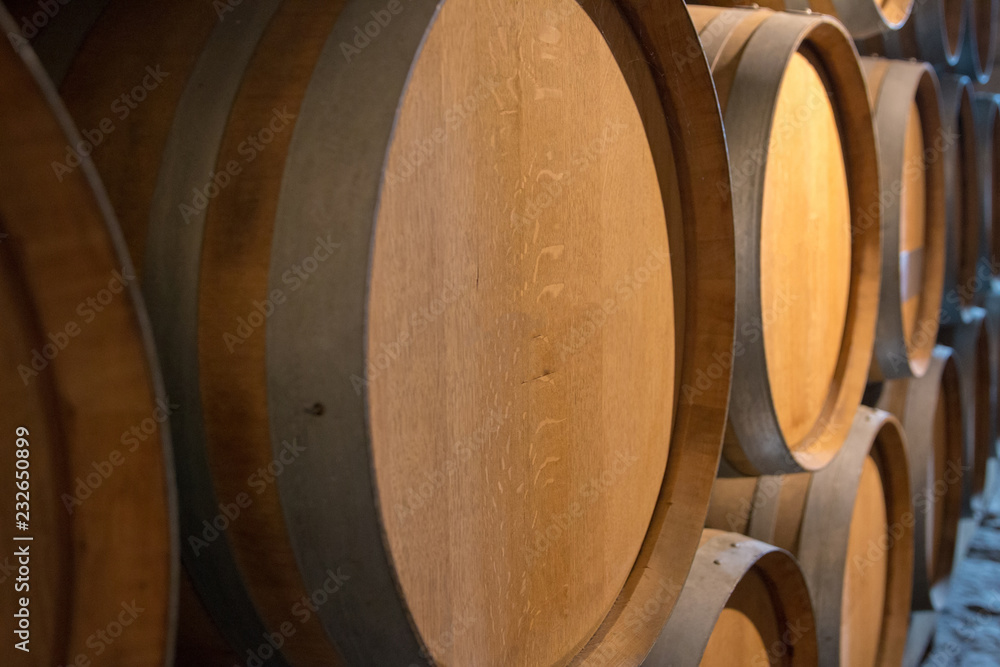 Barrels of wine in the cellar
