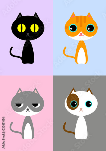 Fototapeta Naklejka Na Ścianę i Meble -  Various kinds of kitty cats on pastel background