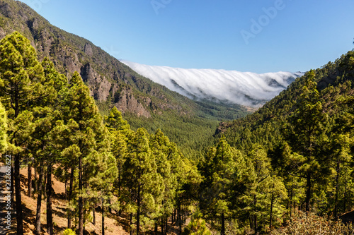 Fotografia Sea of Clouds over Caldera de Taburiente in La Palma, Canary Islands