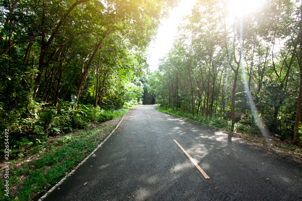 Obraz premium Country road forest rubber tree to Ang Kep Nam Huai Hin Dat of Rayong Thailand.