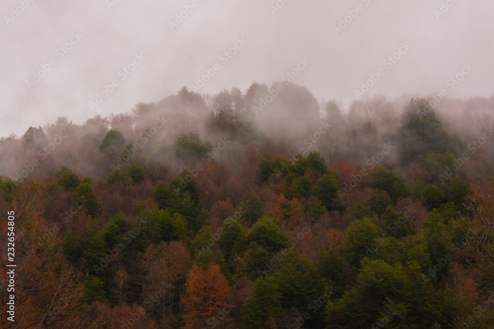 Fototapeta premium Otoño en Malalcahuello 