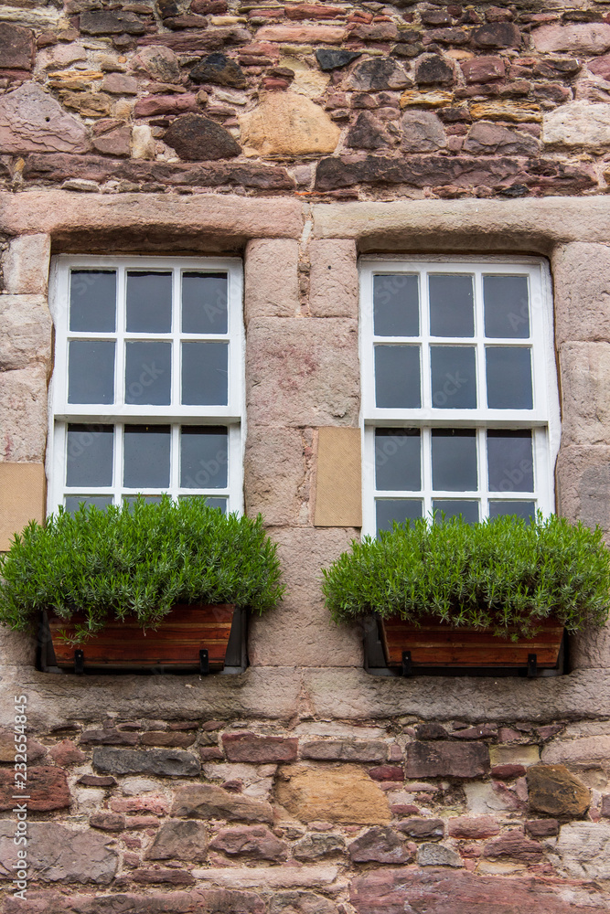 Two white frame windows decorated with green potted plants on an old stone facade.