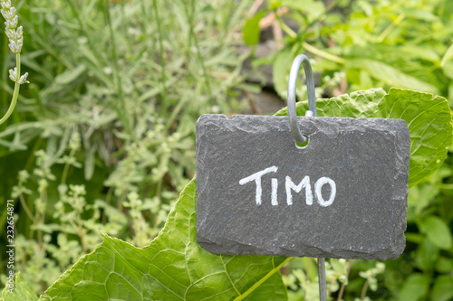 Creative slate markers, labeled with italian names for thyme and herb garden on background © Whales Factory