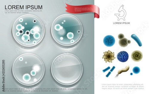 Realistic Biological Microorganisms Composition