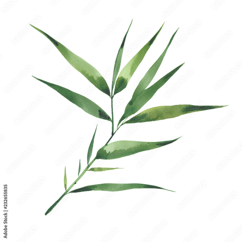 Naklejka premium watercolor bamboo branch