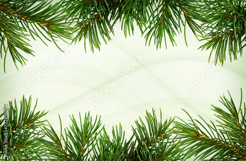 Twigs of green Christmas tr...