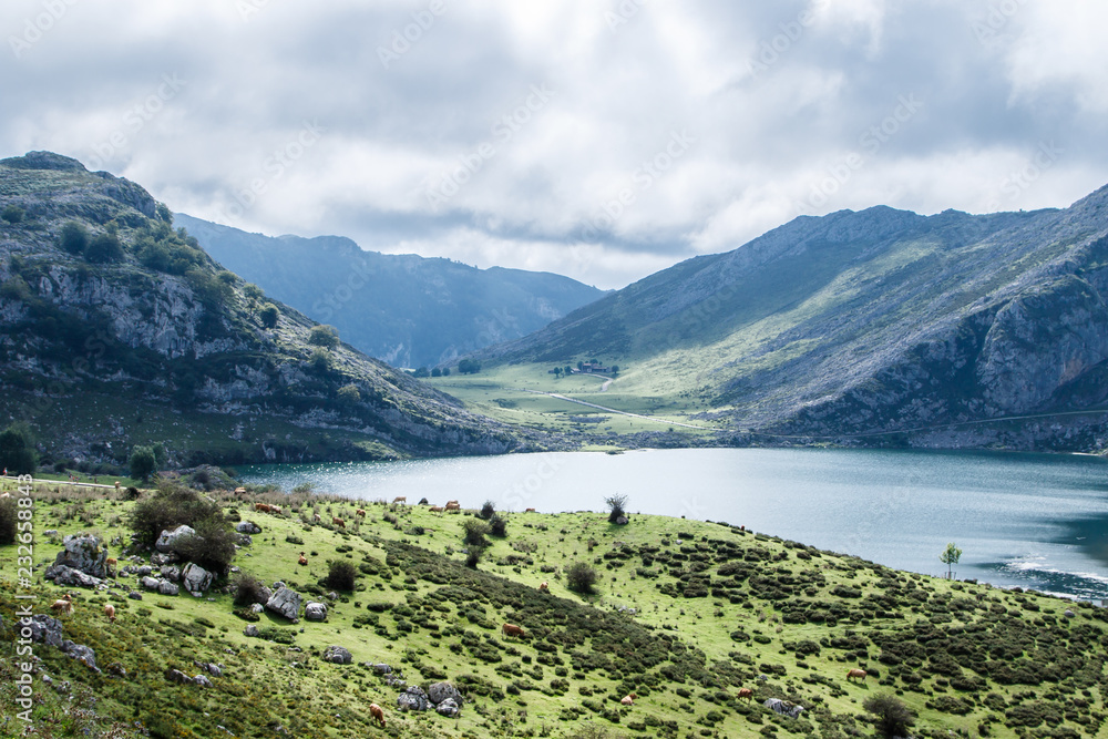 Naklejka premium Lago entre montañas