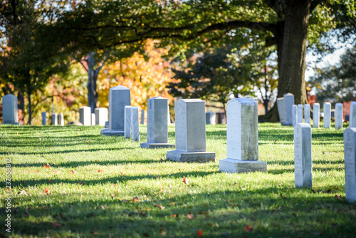 Fotografie, Tablou Arlington National Cemetery in late autumn
