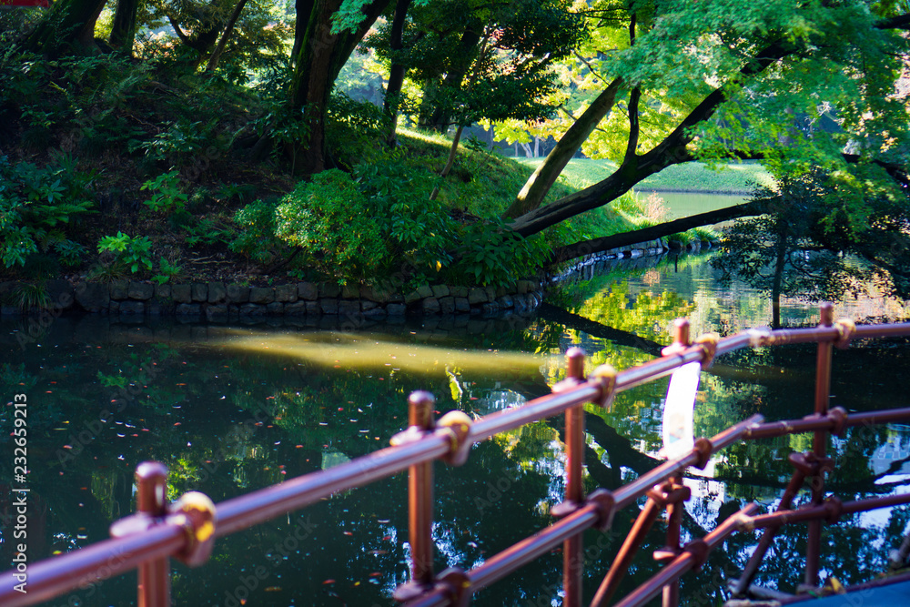 Traditional Japanese red bridge and pond in Japanese garden (Koishikawa Korakuen, Tokyo, Japan)