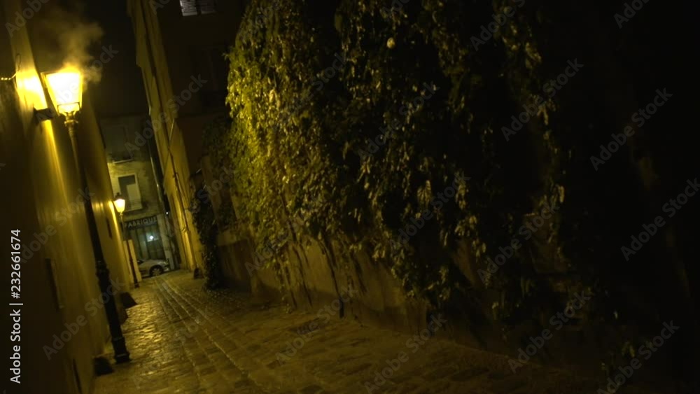 Ruelle de nuit avec de la fumée