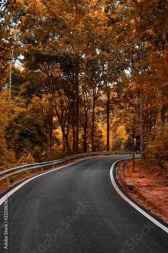 Curve road in to the forest autumm tone © c_atta