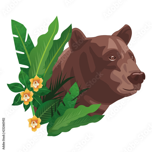 wild brown bear  cartoon