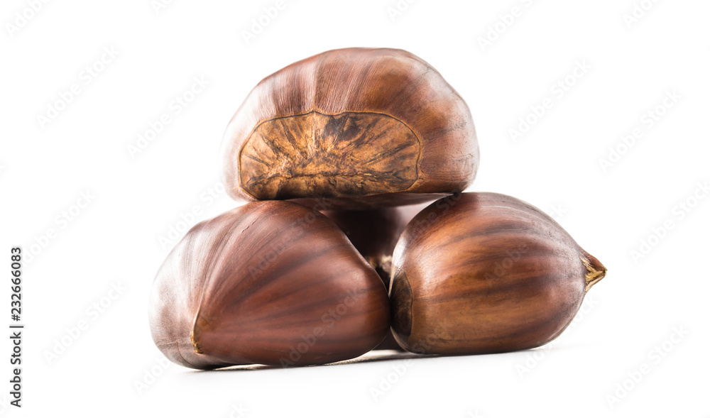 Fototapeta premium Chestnuts isolated on white background and studio shot