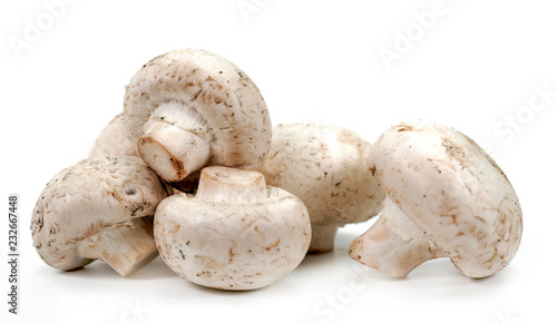 champignons on white background