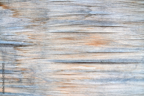 Wallpaper Mural pastel color old wood plank texture background Torontodigital.ca