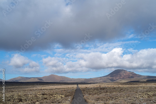 Arid volcanic area  Lanzarote Island  Canary  Spain