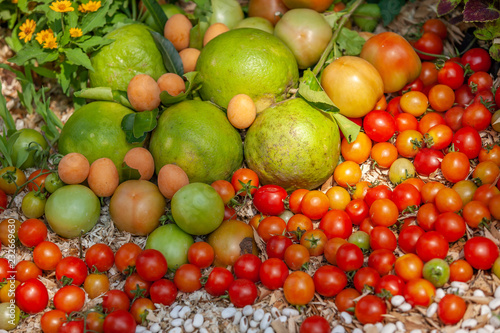 Various organic fruits and vegetables.