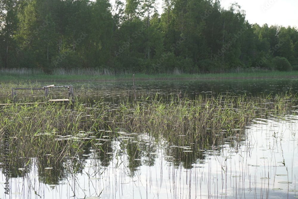 Obraz premium Lake Forest landscape nature fishing holidays nice