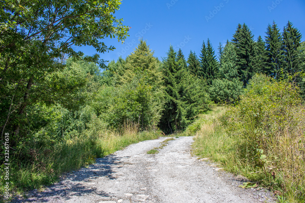 Obraz premium Landscape in Rhodopes
