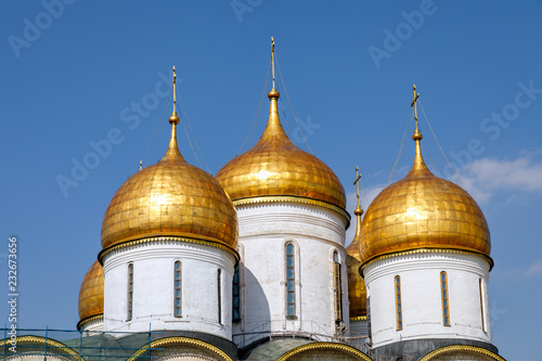 Landscape with view on domes of the cathedrals of the Moscow Kremlin.