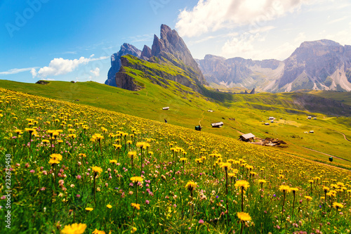 Obraz na płótnie Dolomites Alps in springtime, green grass and flowers, Seceda mount in background. Trentino Alto Adige, Italy w salonie