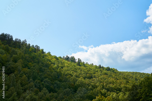 Beautiful green forest against the blue sky with clouds. Forest conservation area. Natural Park.