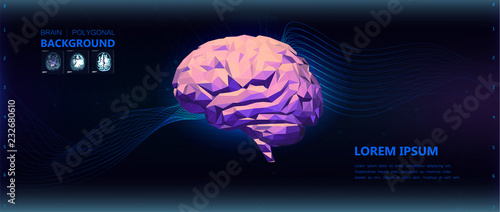 Colorful low poly side view brain illustration with futuristic background with lines and images of mrt. Colorful Brain Vector Illustration