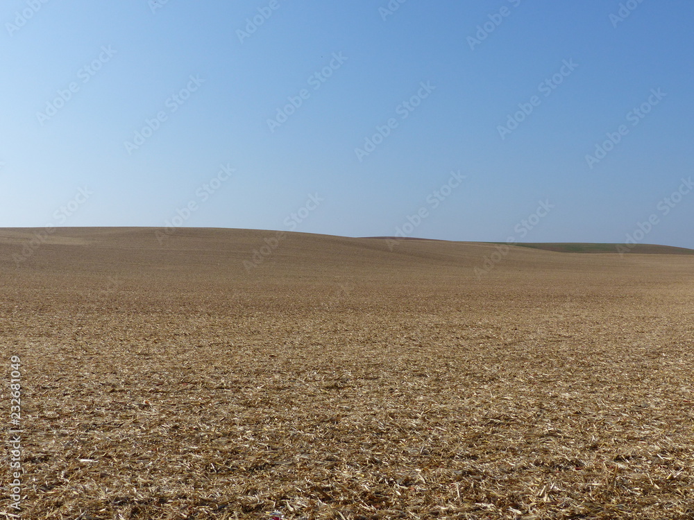Abgeerntetes Feld im Herbst mit Himmel Abgeerntetes Feld im Herbst mit Himmel