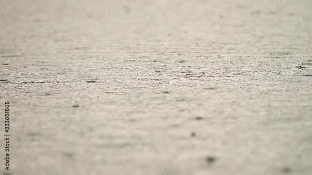 Heavy rain on water autumn weather. Raindrops and bubbles. Water drops fall into the reservoir. Slow motion video