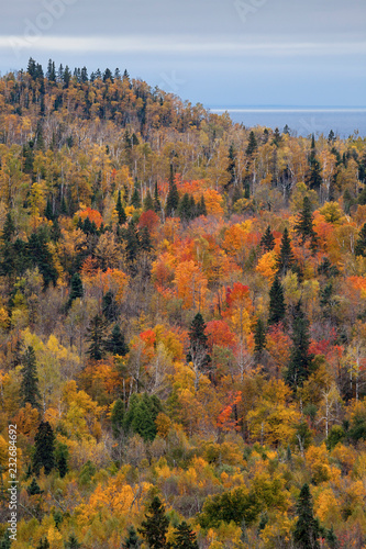 Fall foliage vista of the Superior National Forest on North Shore of Lake Superior, Minnesota.