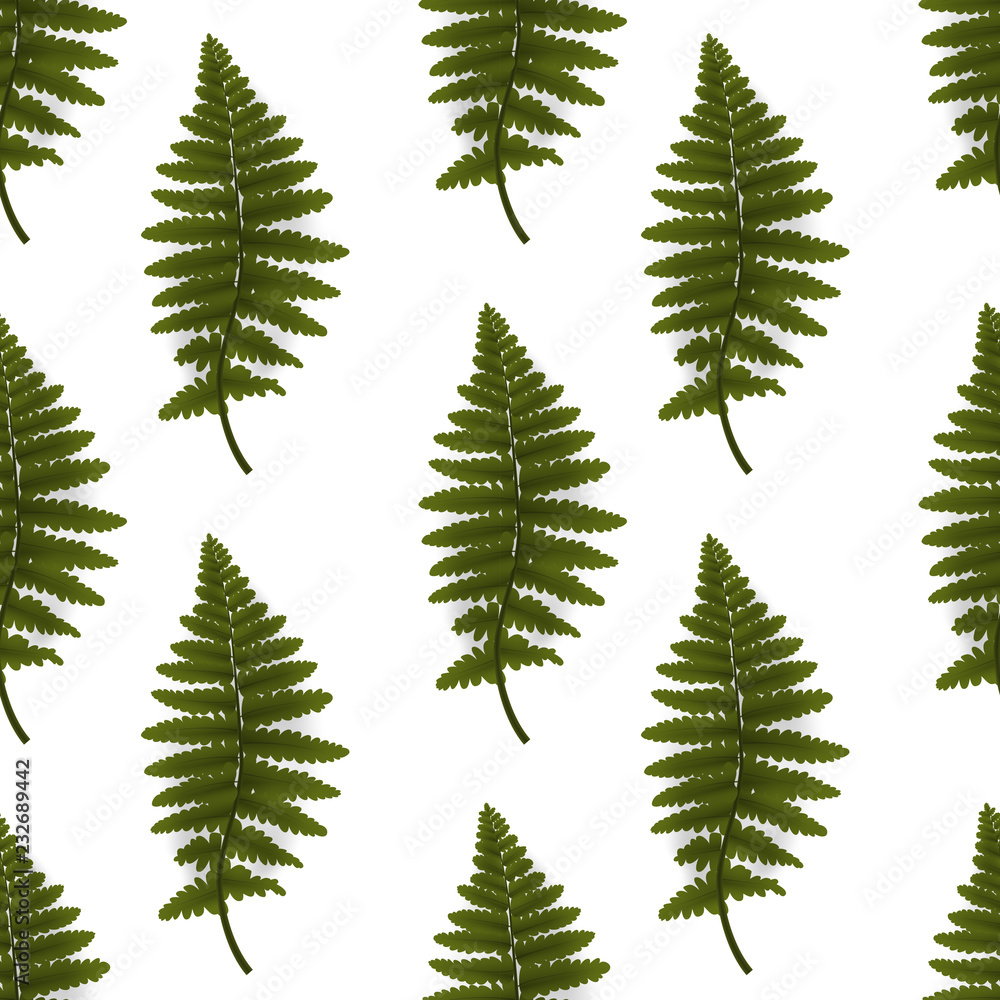 Obraz premium Colorful green twig fern. Vector Illustration