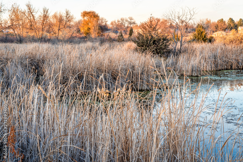 fall scenery of wetlands