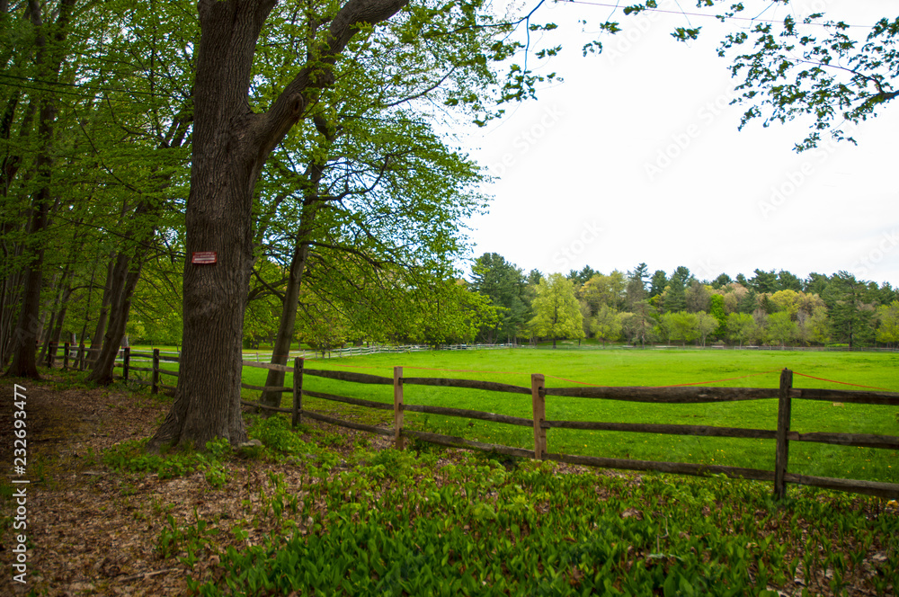 Meadow Fencing