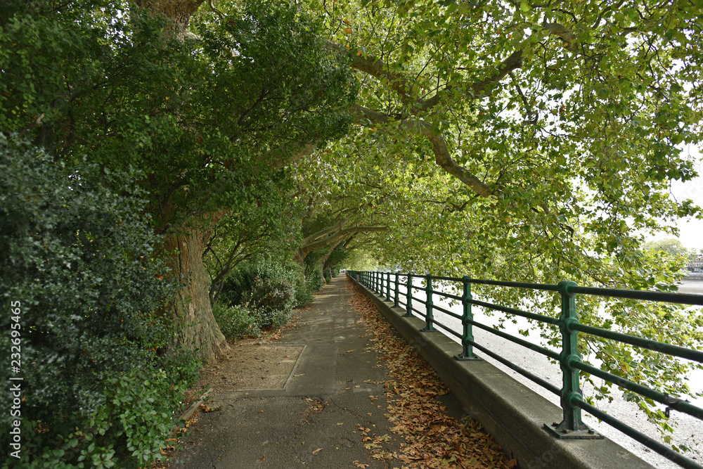 Thames path and Thames river along Bishop's Park in Fulham, London, U.K