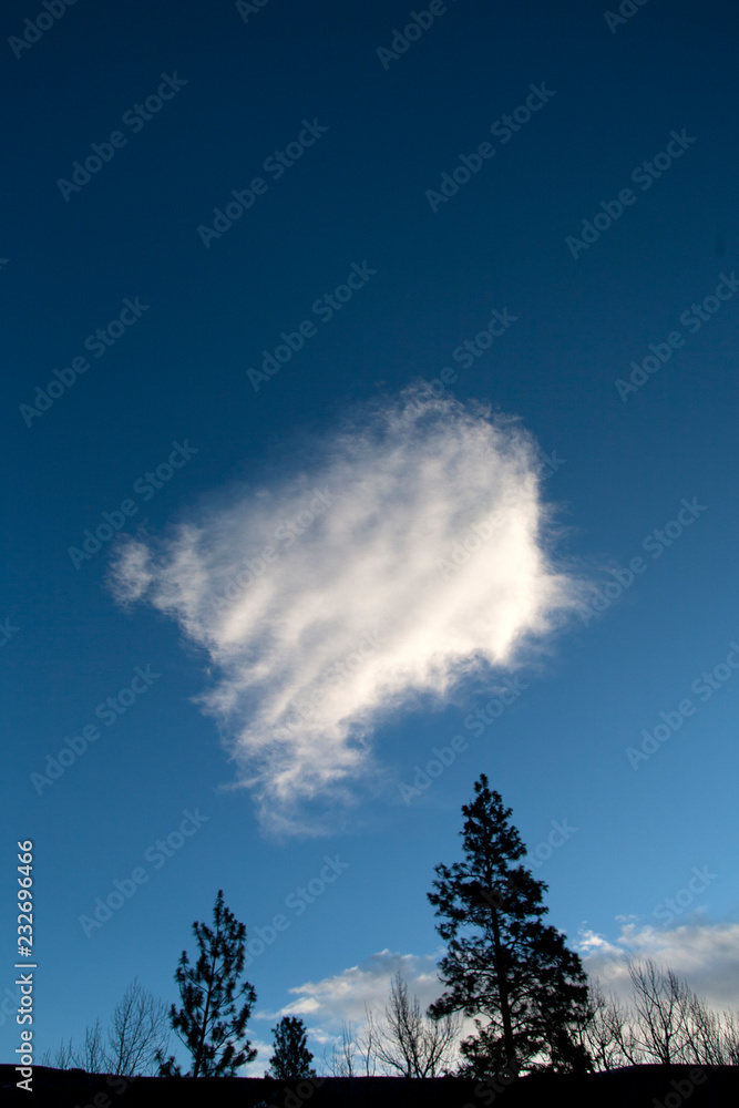 Fototapeta premium blue sky and clouds