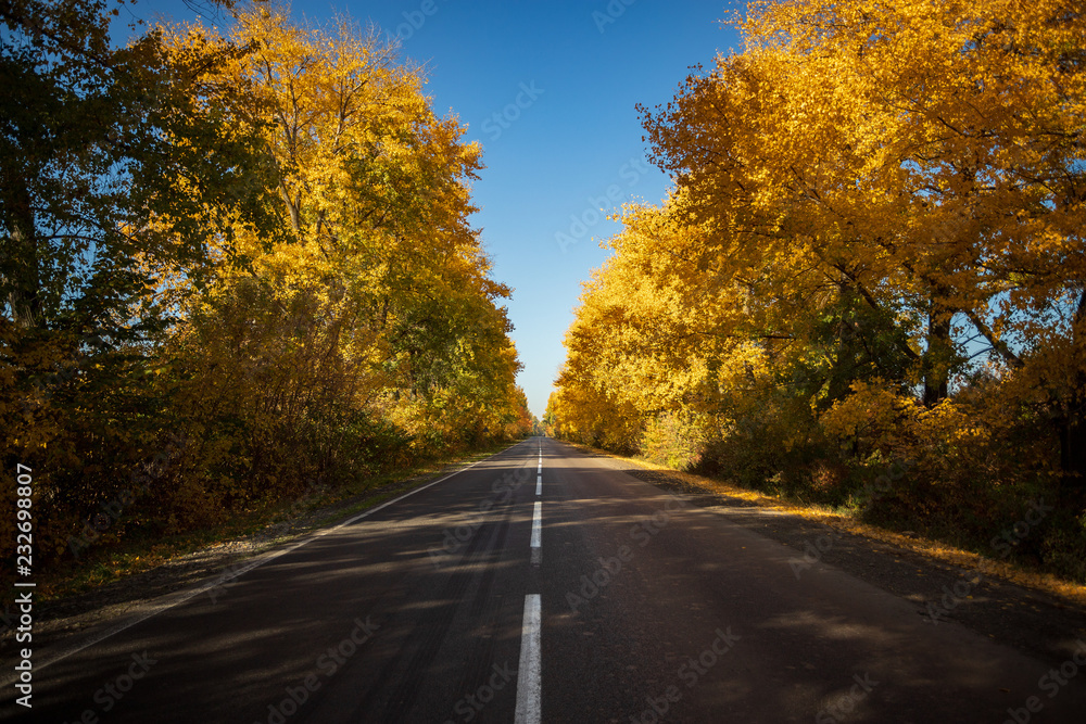 Autumn landscape