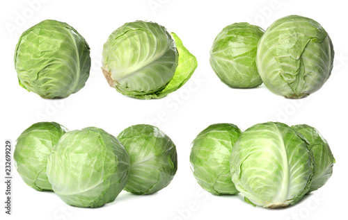 Set with fresh cabbages on white background