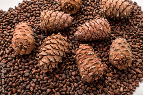 Pine nuts and cones.