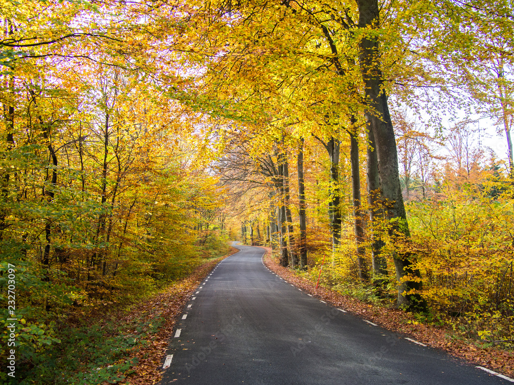 South Sweden in October