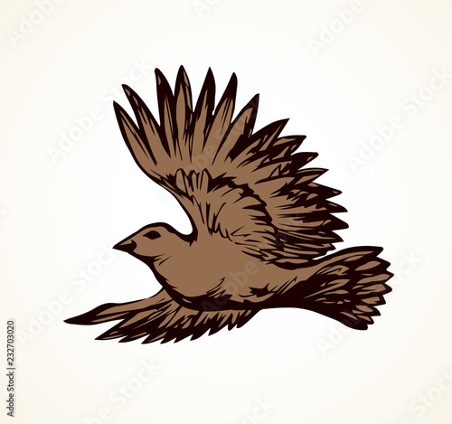 Vector drawing. Small titmouse