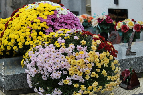 fleurs du cimetière
