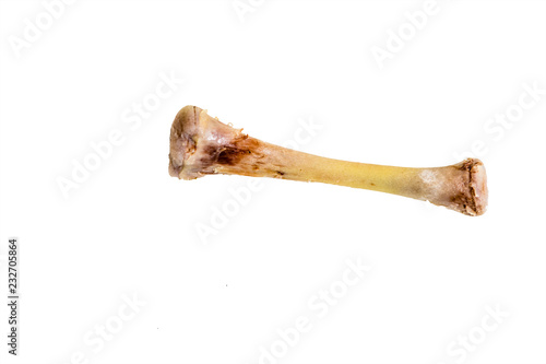 Chicken leg bone against white background