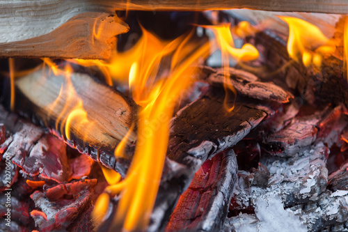 Photo of burning firewood in the fire © Benjamin Gelman