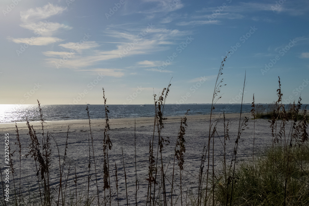 Beach grass in foreground of Gulf of Mexico at sunset Beach grass in foreground of Gulf of Mexico at sunset