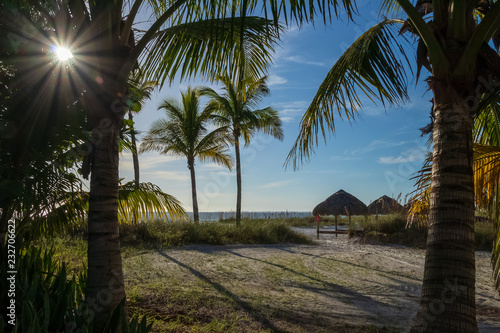 Sunbeams burst through palm fronds on Florida Gulf beach